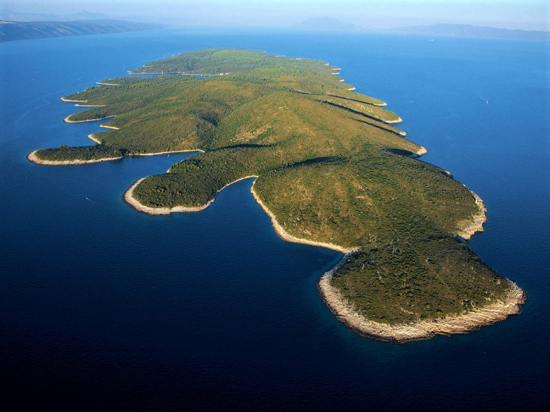 Šćedro